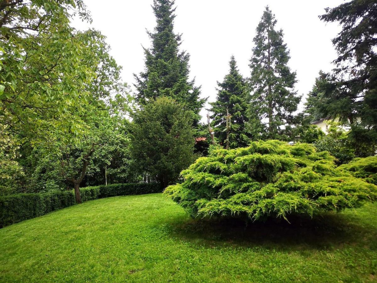 Casa Carla, Immersa Nel Verde Dei Colli Bolognesi サッソ・マルコーニ エクステリア 写真